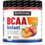 BCAA Instant - 300 g, jablko-mango