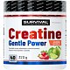 Creatine Monohydrate Gentle Power - 320 g, marakuja
