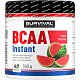 BCAA Instant - 300 g, pomeranč