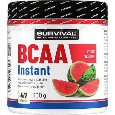 Survival BCAA Instant - 300 g, meloun