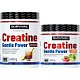 Creatine Monohydrate Gentle Power - 480 g, marakuja
