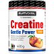 Creatine Monohydrate Gentle Power - 320 g, marakuja