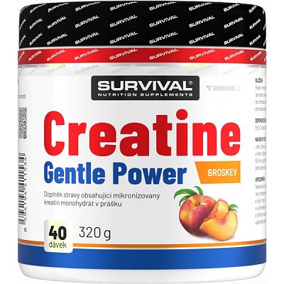 Creatine Monohydrate Gentle Power - 320 g, marakuja