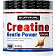 Creatine Monohydrate Gentle Power - 480 g, limeta-jahoda