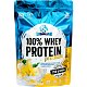 Lionlab 100 % Whey Protein - 750 g, vanilková zmrzlina