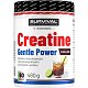 Creatine Monohydrate Gentle Power - 480 g, limeta-jahoda