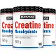 Creatine Monohydrate - 300 g