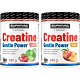 Creatine Monohydrate Gentle Power - 320 g, marakuja