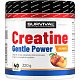 Creatine Monohydrate Gentle Power - 480 g, broskev
