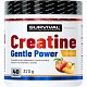 Creatine Monohydrate Gentle Power - 480 g, limeta-jahoda