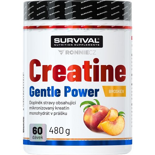 Creatine Monohydrate Gentle Power - 480 g, limeta-jahoda