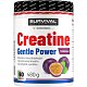 Creatine Monohydrate Gentle Power - 480 g, marakuja