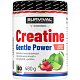Creatine Monohydrate Gentle Power - 480 g, limeta-jahoda