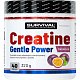 Creatine Monohydrate Gentle Power - 480 g, cola-citron (cuba libre)